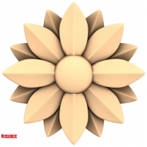 Sunflower Flower
