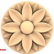 Luxury of a Flower