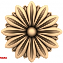 Solar Harmony