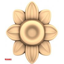 Sunny flower