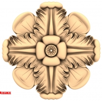 Petal Vortex