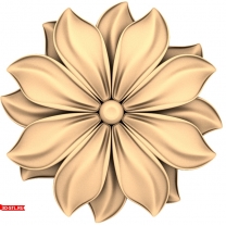 Floral Harmony