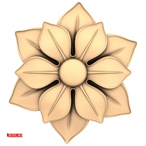 Flower Elegan