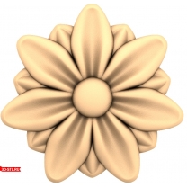 Flower of Feelings