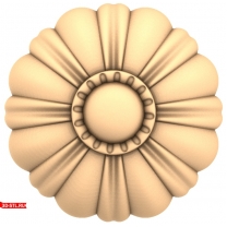 Sunny Flower