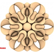 Floral Symphony