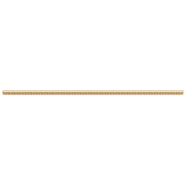 Baguette (458)