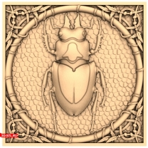 Framed Beetle Panel