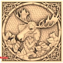 Elk panel in a frame