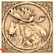 Elk panel in a frame