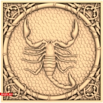 Scorpio panel in a frame