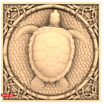Turtle panel in a frame