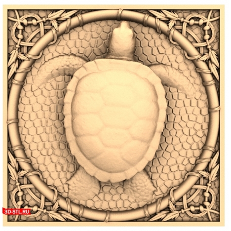 Turtle panel in a frame