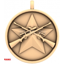 Panel Medal Snipers on a star