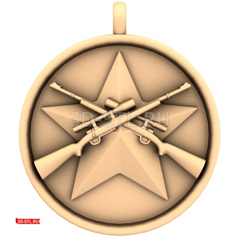 Sniper Medal on a Star Panel 