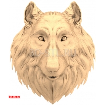 Dog's head