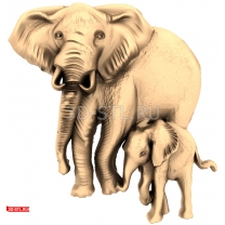 Two Elephants