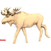 Elk