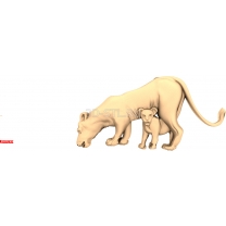 Lionesses