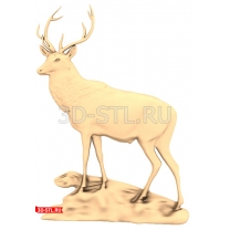 Deer