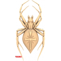 Spider