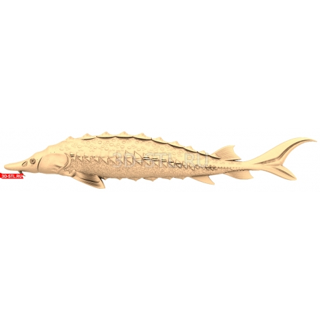 3D Fish Model in STL Format for CNC Machine