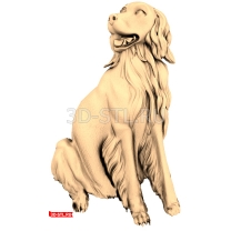 A sitting dog