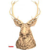 Deer head