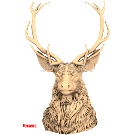 Deer Head 