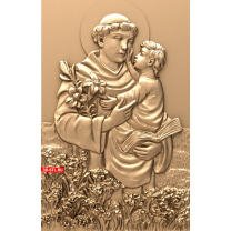 Panel