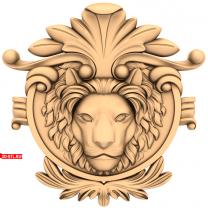 Lion's head