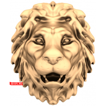 Lion's head