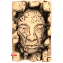 Panel "Face in Stones"