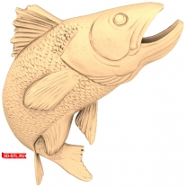 Fish (6)