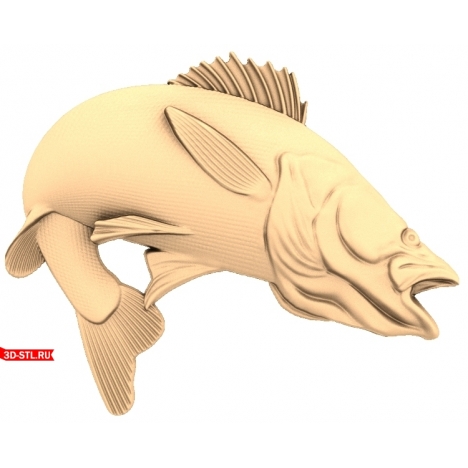 Wall panel: Pike perch fish