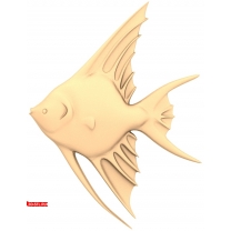 Aquarium fish
