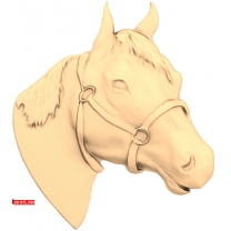 Horse Head