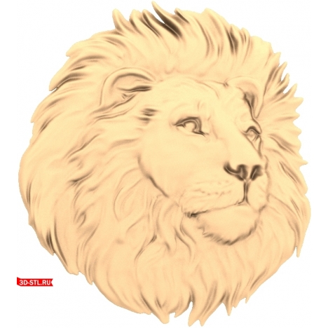 Lion's head 