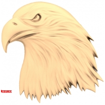 Eagle's head