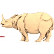 Rhinoceros