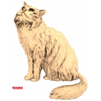Fluffy cat