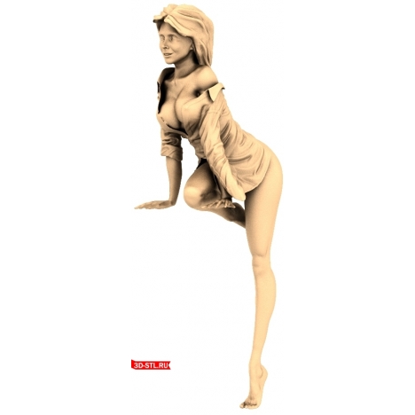 Curvy Lady - 3D Printable Model
