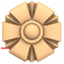 Geometry of the Flower