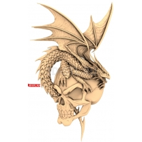 Dragon on a skull