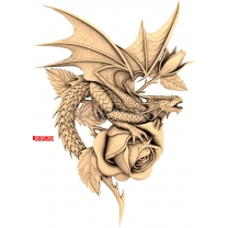 The Dragon and the Rose