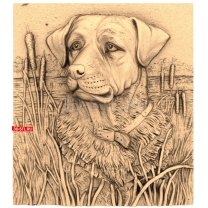 A dog near the reeds