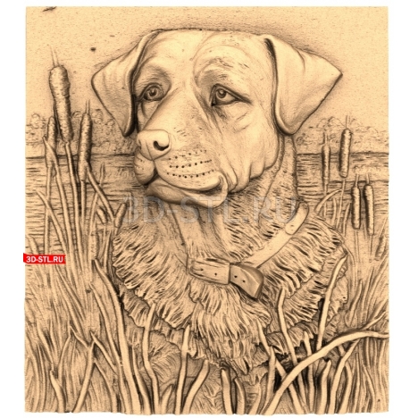 Dog by the Reeds | STL - 3D model for CNC