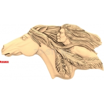 Indian chief and horse