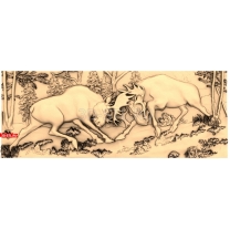 Elk Fight
