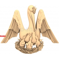 Pelican in the nest